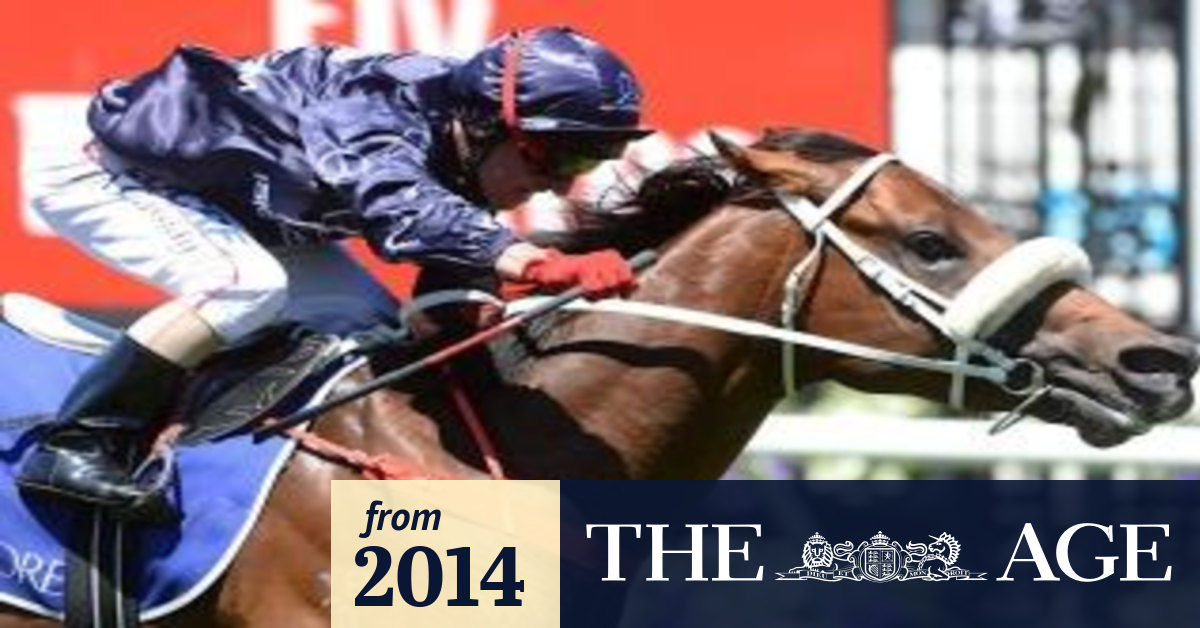 Racehorse breeding season gets under way as reputations and millions go on the line